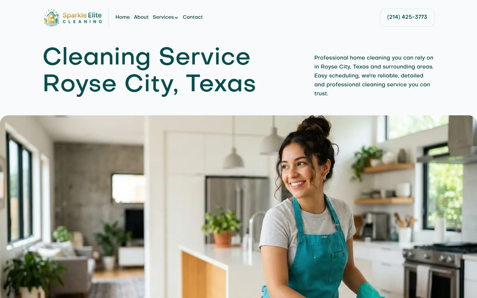 Sparkle Elite Cleaning homepage hero